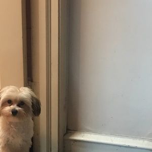 Meet your Posher, Aaliyah